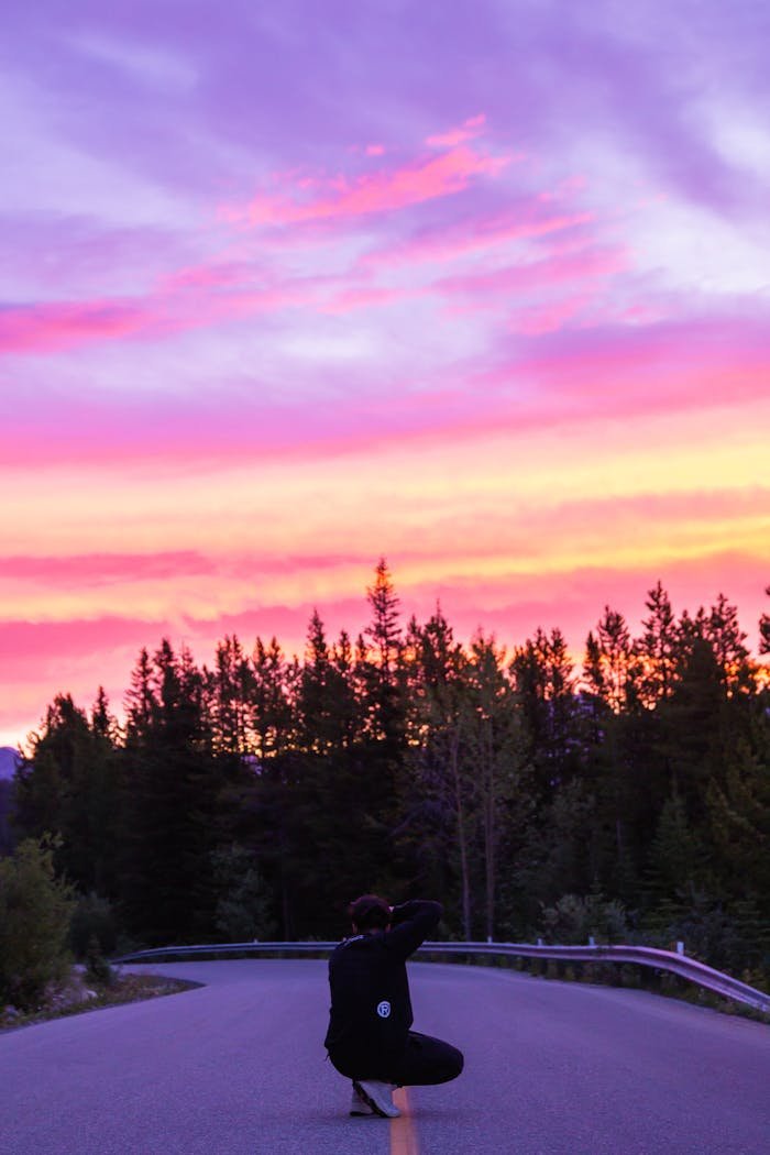 Full body back view of unrecognizable photographer shooting dense coniferous forest at colorful sundown